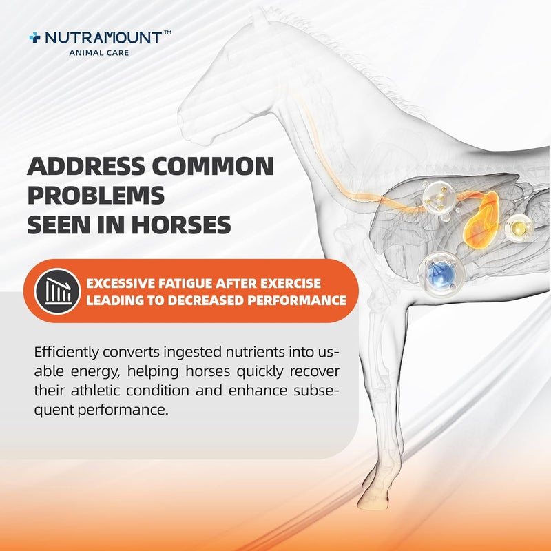 Nutramount Horse Calming Supplement Powder – Supports Focus, Relaxation & Performance | Equine Taurine & Magnesium Formula | 15-Day Supply - Image 3